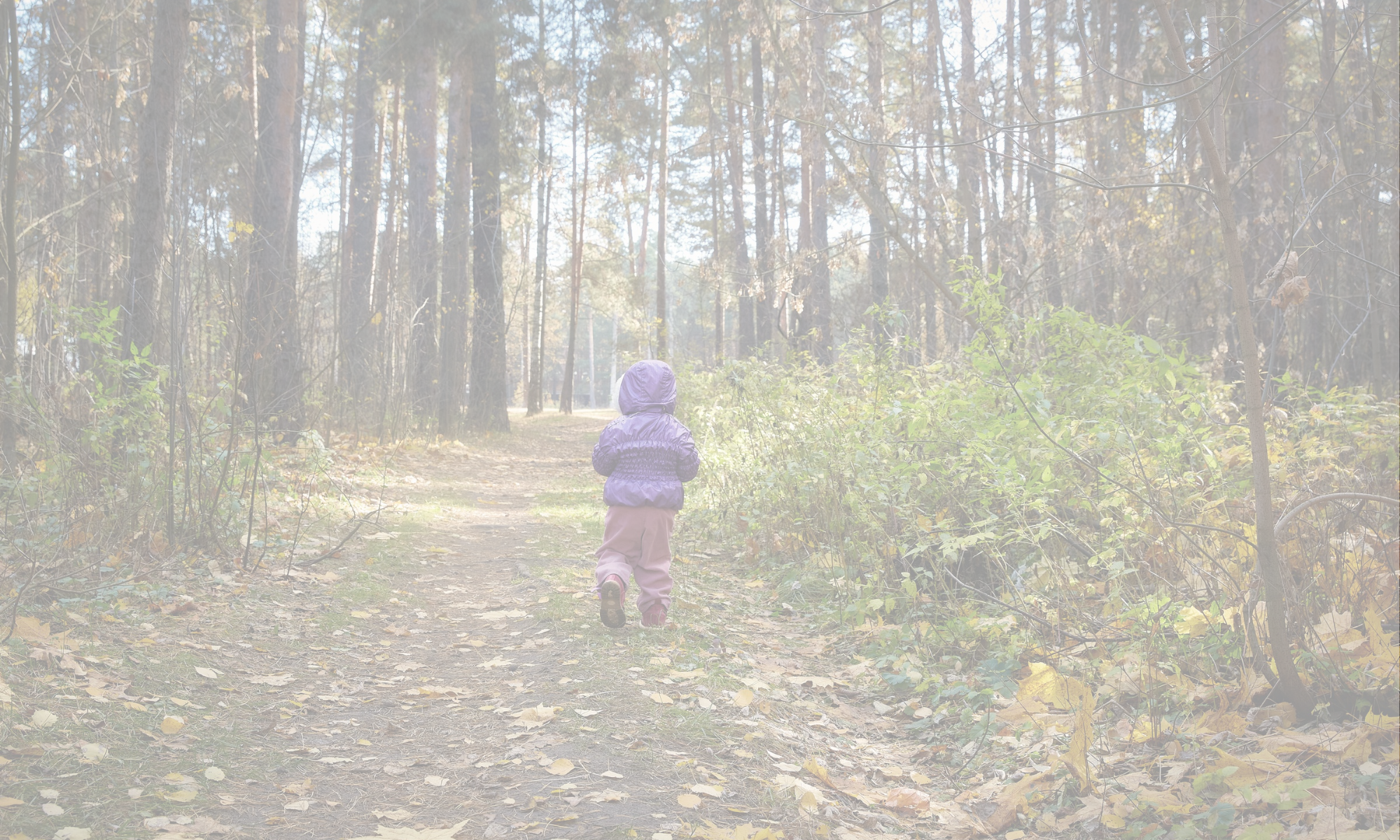 Inquire from Zero ヘッダー画像